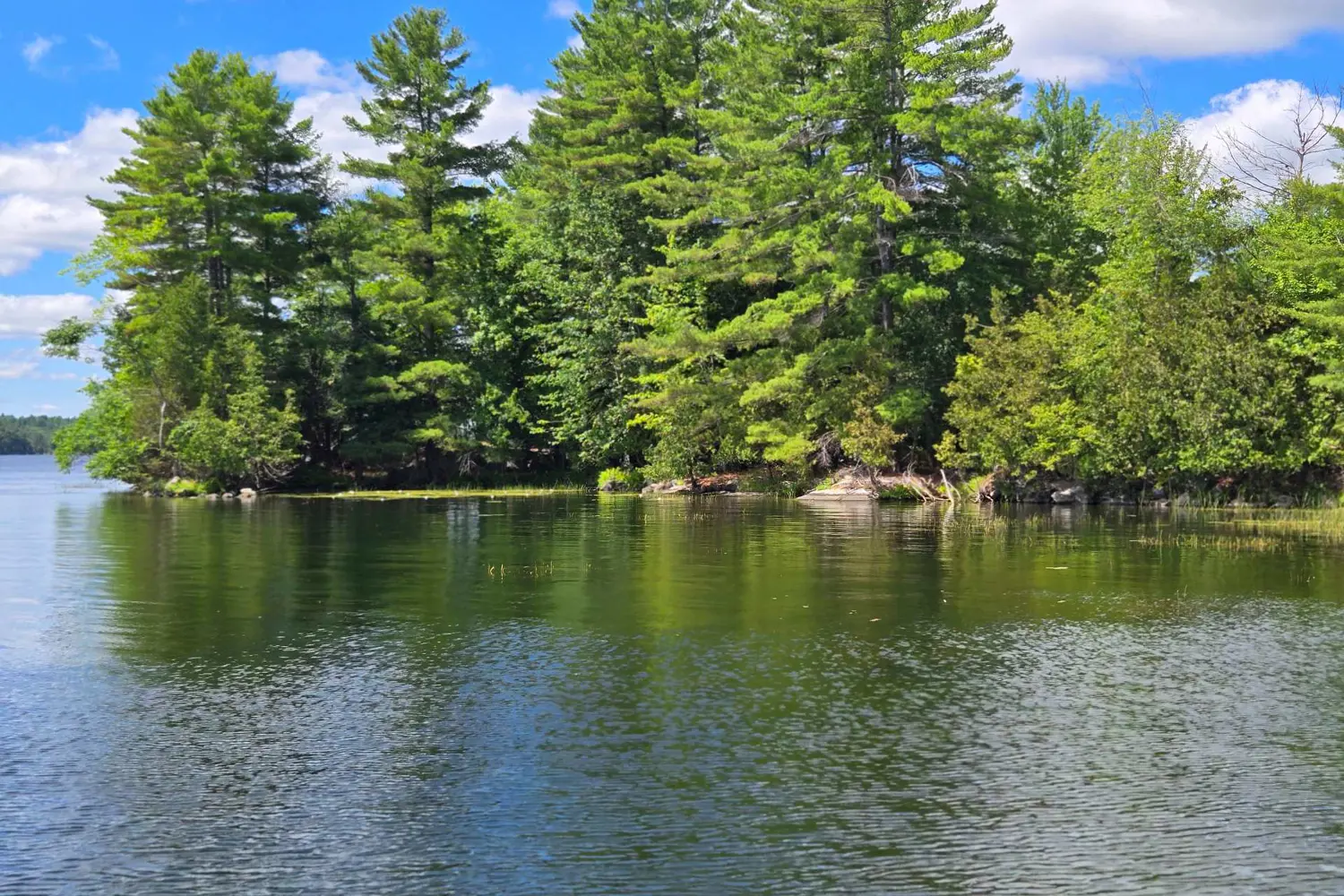 Additional image 10 of 0 Walnut Island