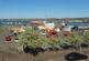 Agnew Crescent, Stranraer, DG9 photo 2