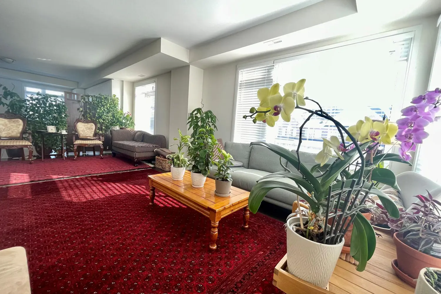 325 Veterans Drive photo 3