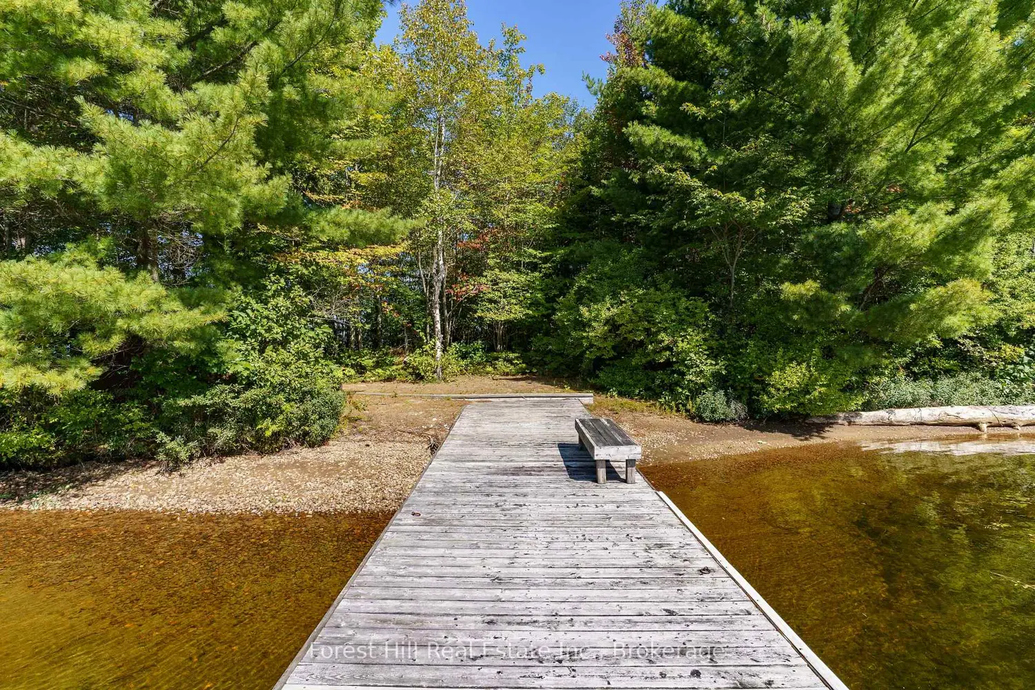 Additional image 9 of 2991 Muskoka Rd 117 Road 2