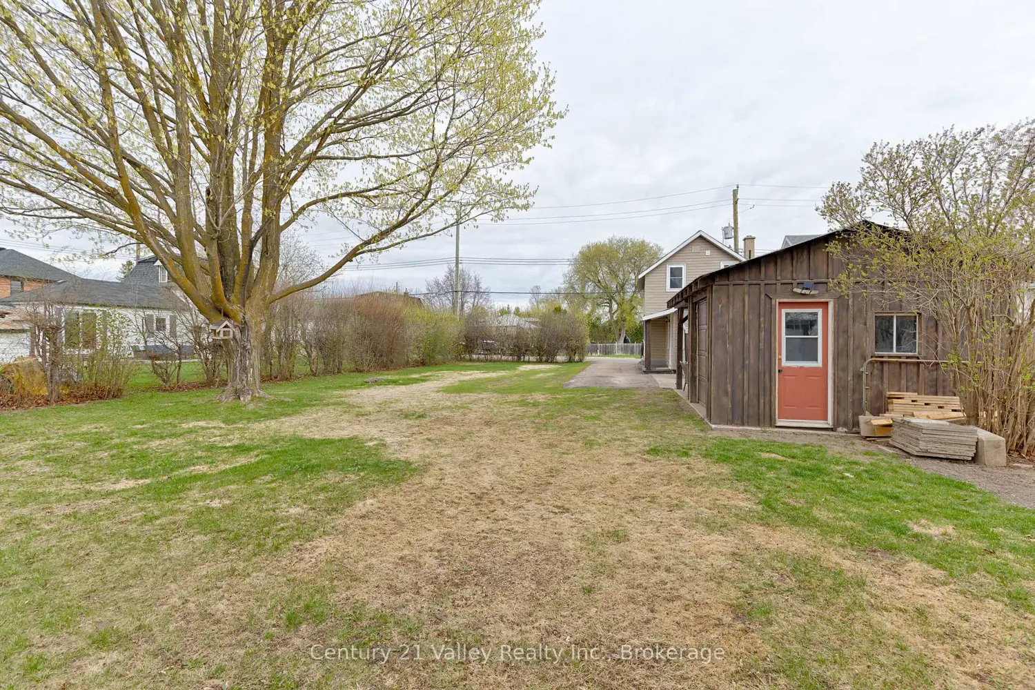 319 Mary Avenue photo 4