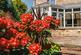 Additional image 43 of Vicarage Lane, Dore, Sheffield