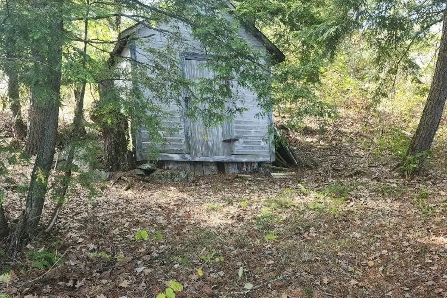 Additional image 19 of 1420 Island 76 Stoney Lake