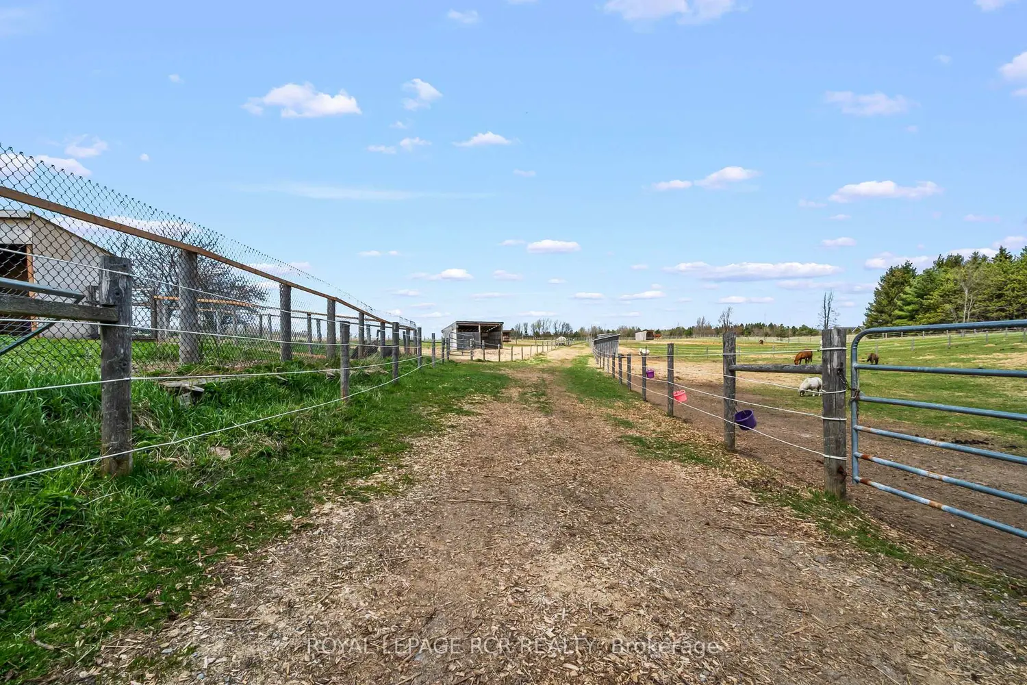 487233 30 Side Road photo 4