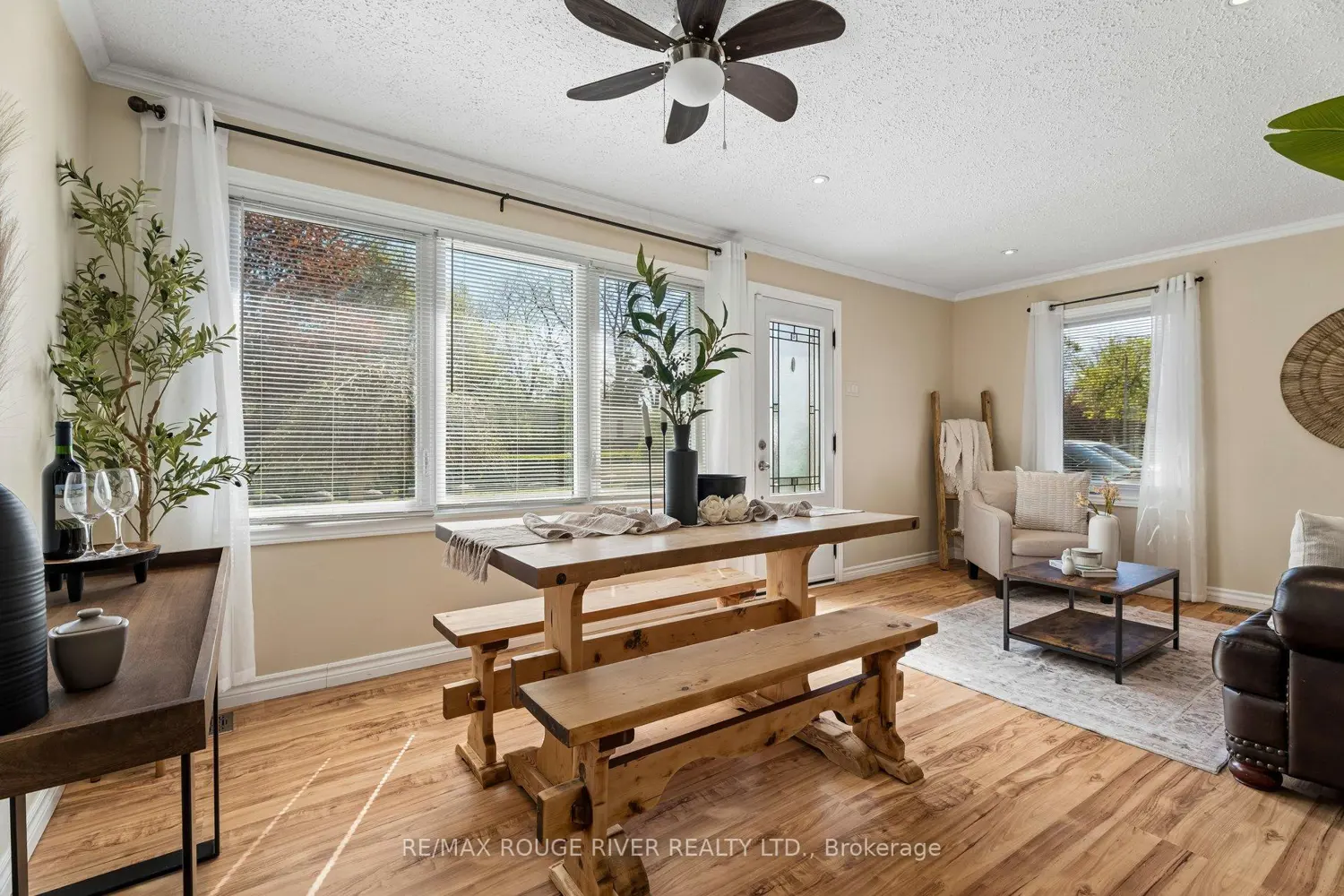 20 Lorne Street photo 5