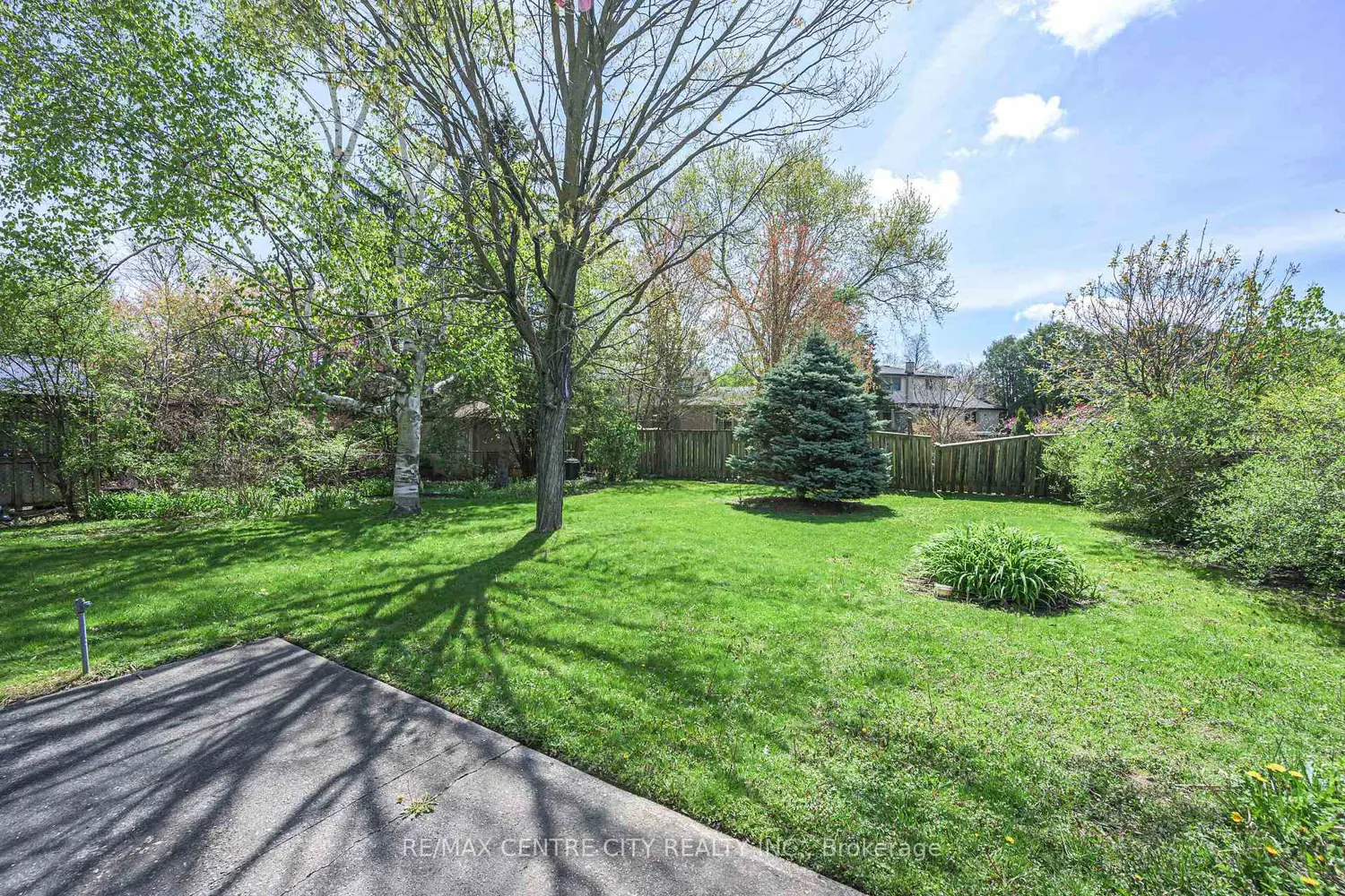 42 Annadale Drive photo 4