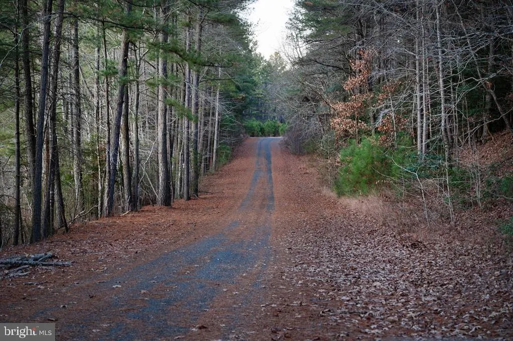 Additional image 14 of Lot 2057 Neptune Court, Greenbackville, VA 23356