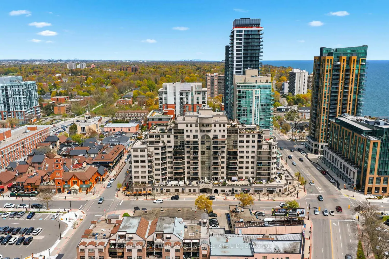 399 Elizabeth Street 1202