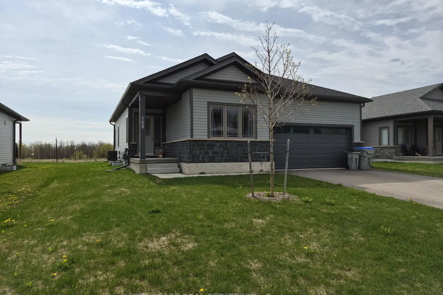 159 Ellen Street photo 2