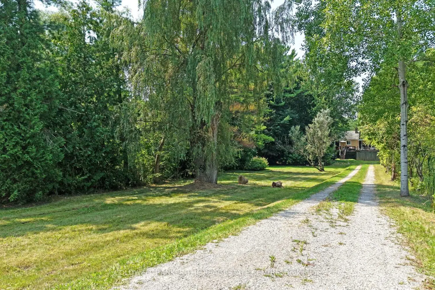 15600 Weston Road photo 2