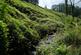 Additional image 7 of Roadwater, Watchet TA23
