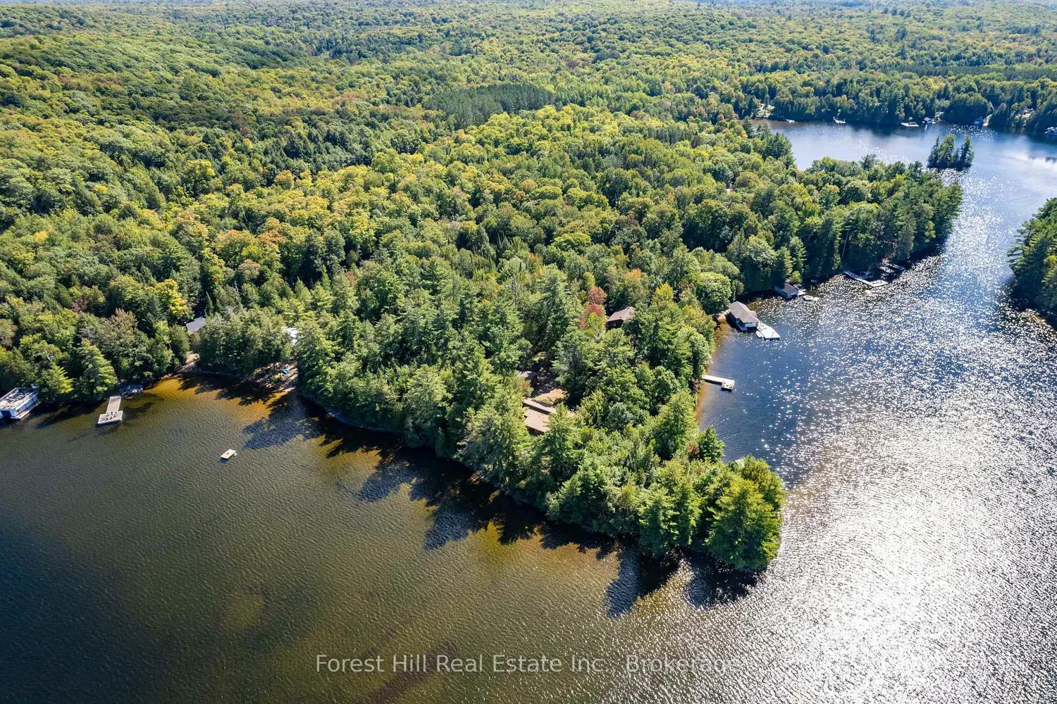Additional image 7 of 2991 Muskoka Rd 117 Road 2