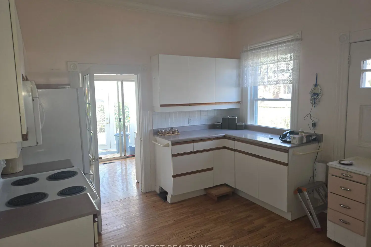 16 Arthur Street photo 5
