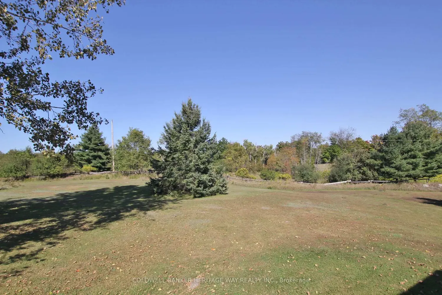 Additional image 12 of 1028 Mitchell Road