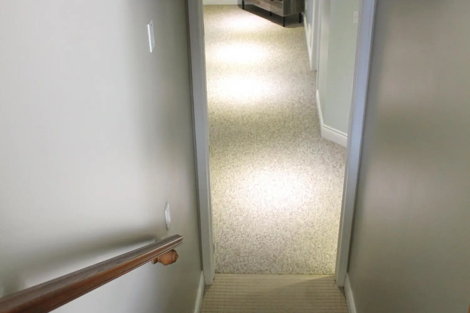 51 Abagail Crescent photo 5