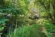 Additional image 33 of Writtle