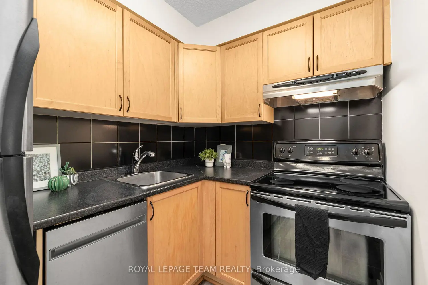 225 Alvin Road 301 photo 5