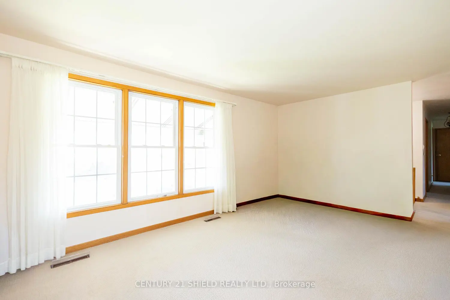 901 Laflin Street photo 3
