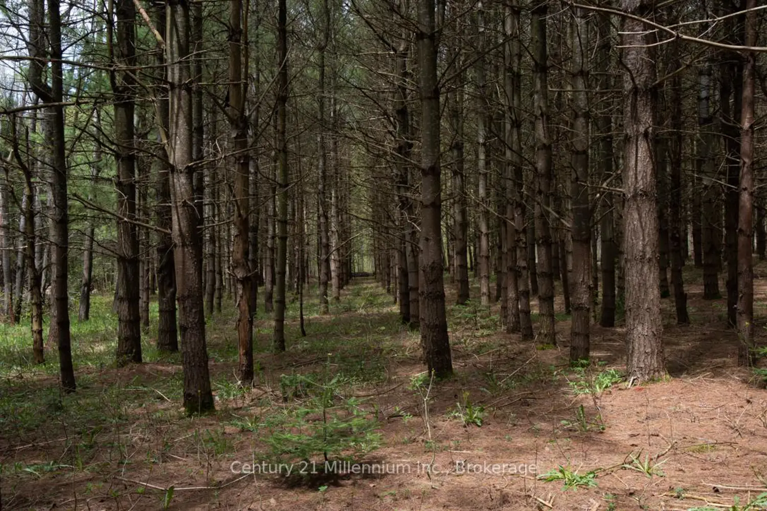 Additional image 15 of 569025 6 Side Road