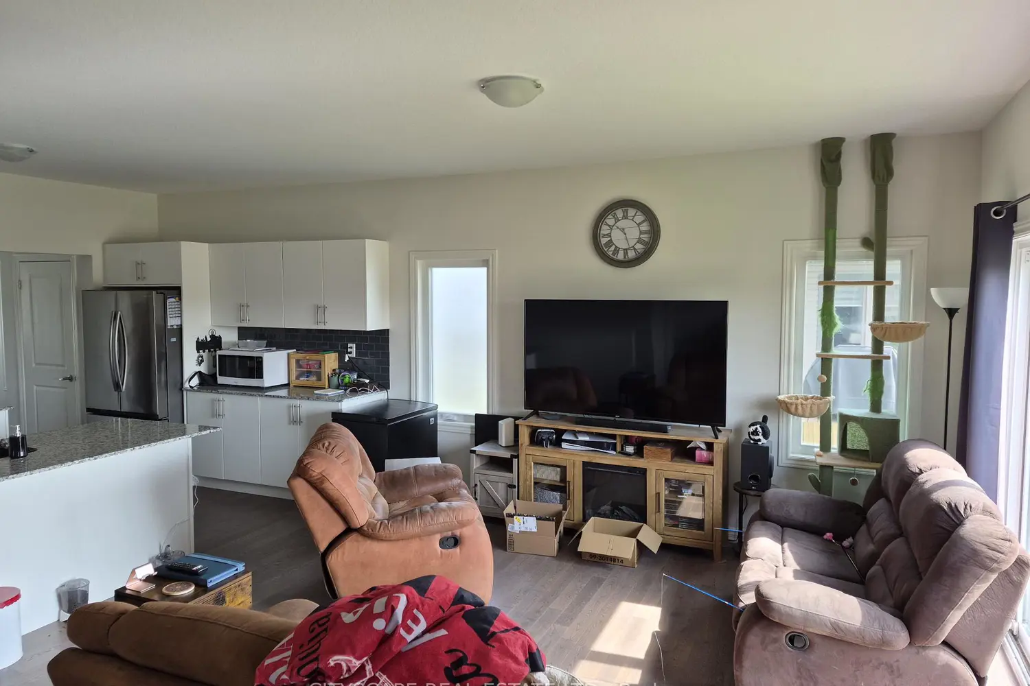 159 Ellen Street photo 4