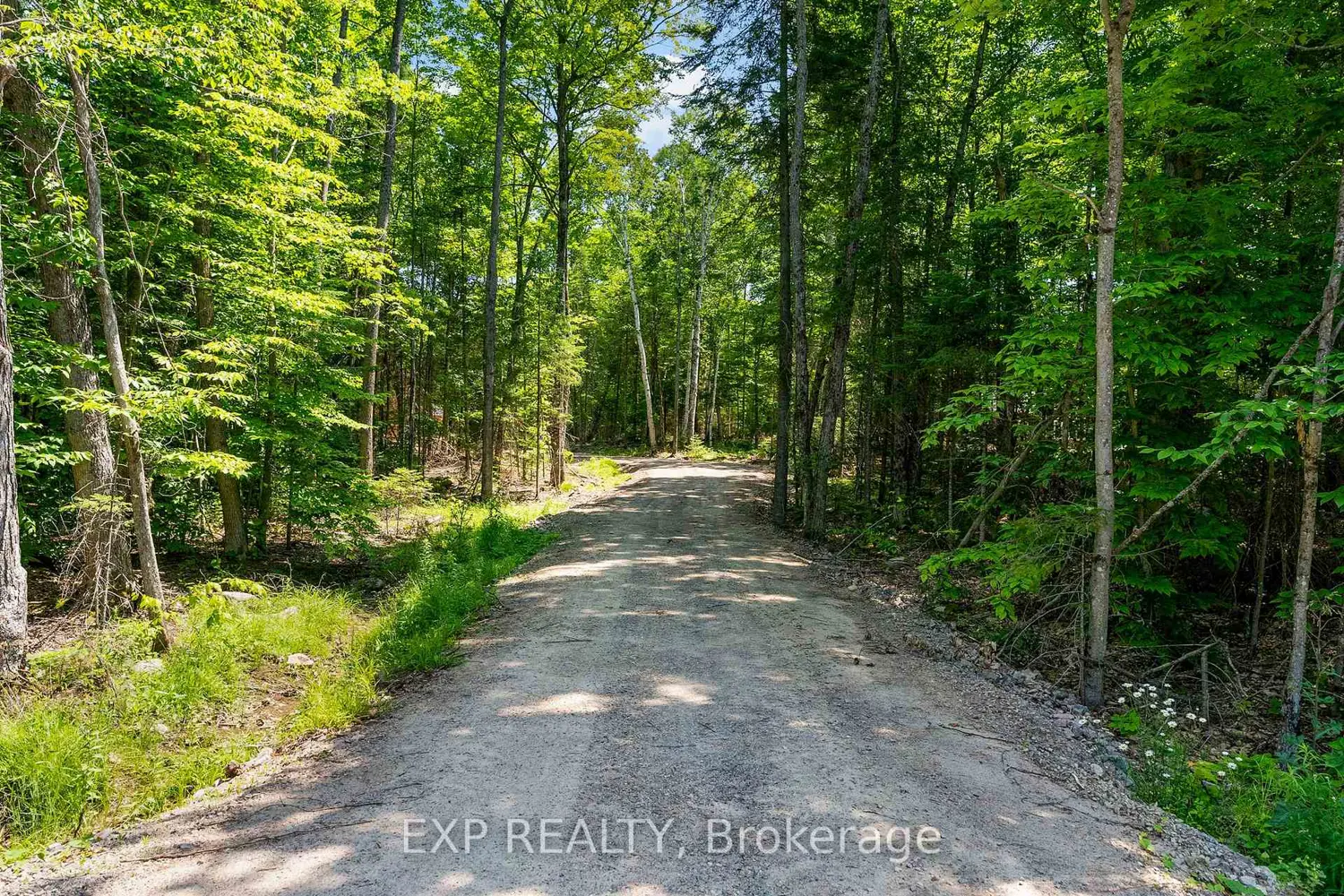 Additional image 14 of 743 Lakewoods Drive