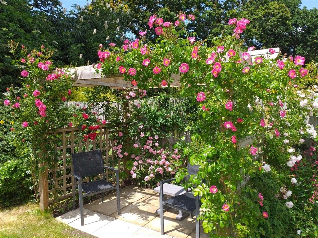 Additional image 12 of 3 bed detached bungalow for saleAfton Road, Freshwater, Isle Of Wight PO40