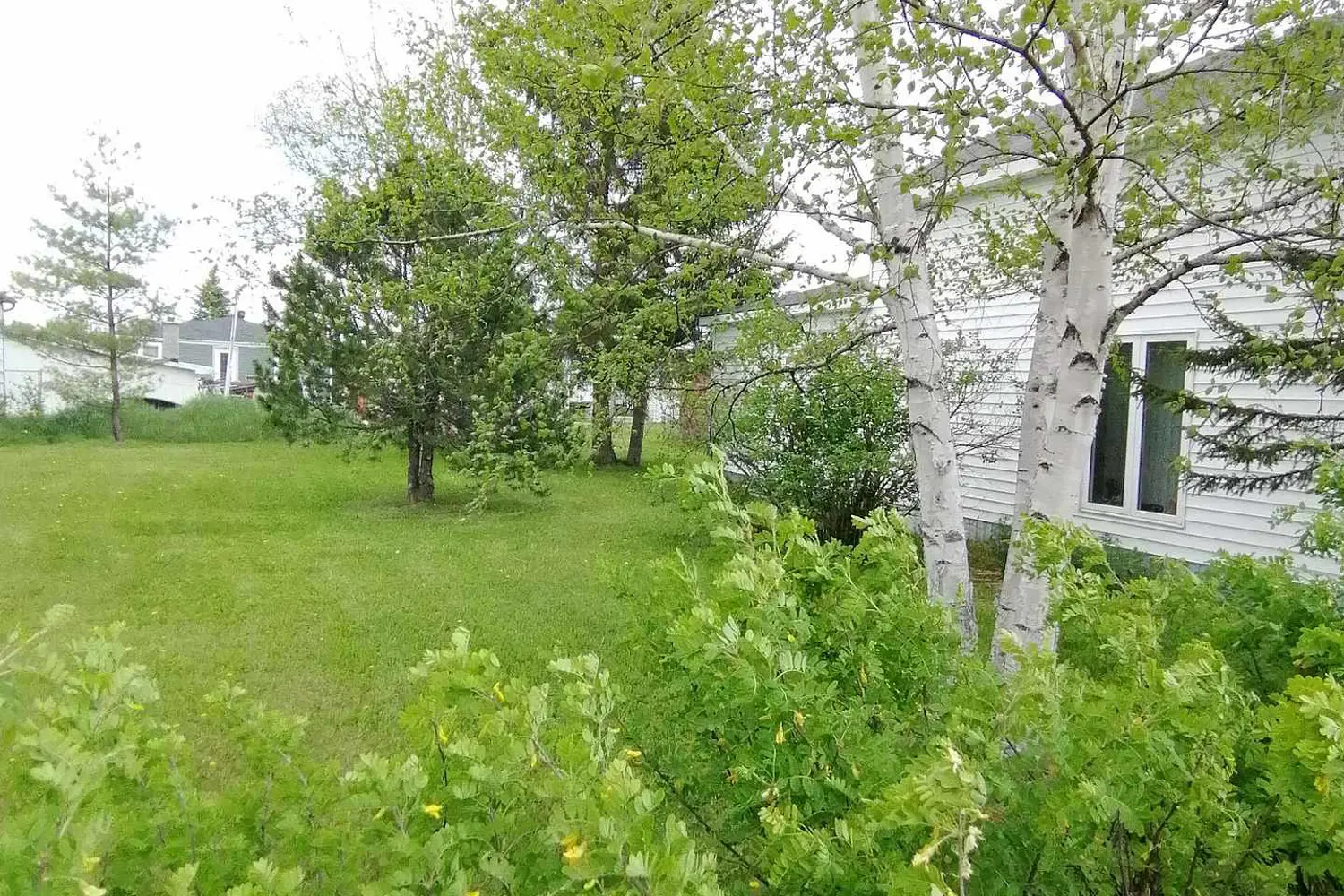 Additional image 4 of 633 Gleason Avenue
