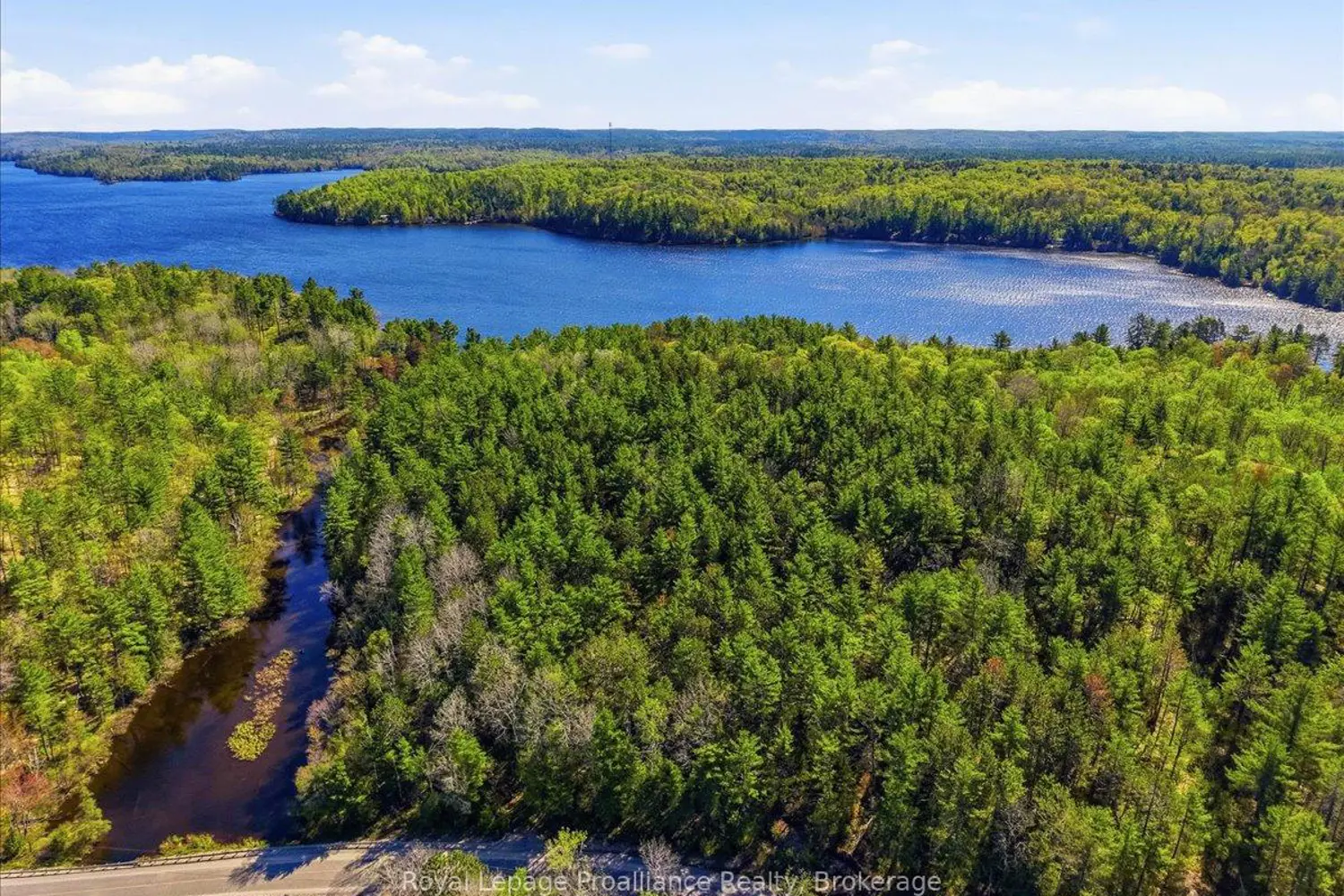 Additional image 15 of 4217 Buckshot Lake Road