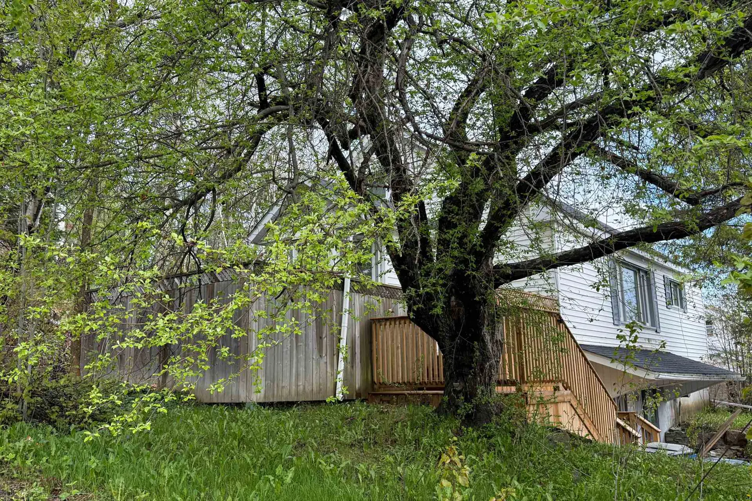 Additional image 16 of 30 Regina Street