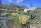 Quay Road, Charlestown, Cornwall photo 4