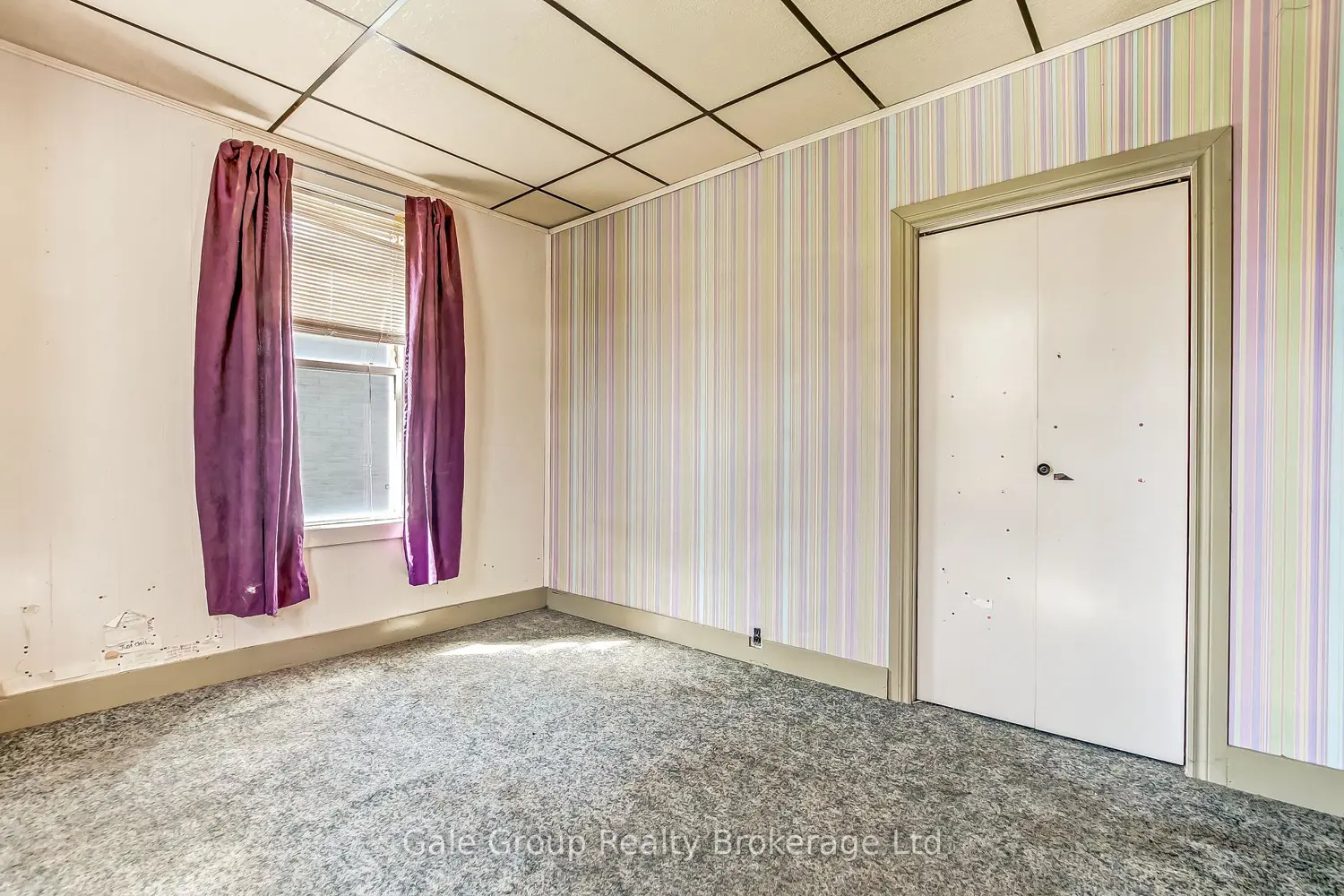 Additional image 14 of 42 Maud Street
