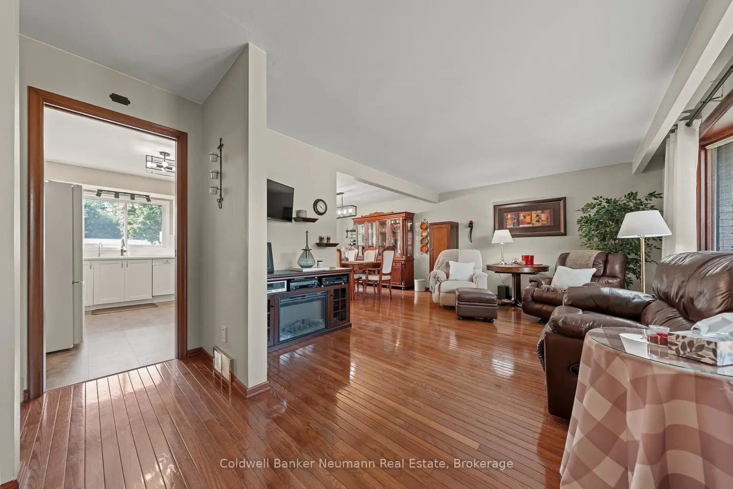 61 Bellevue Street photo 4