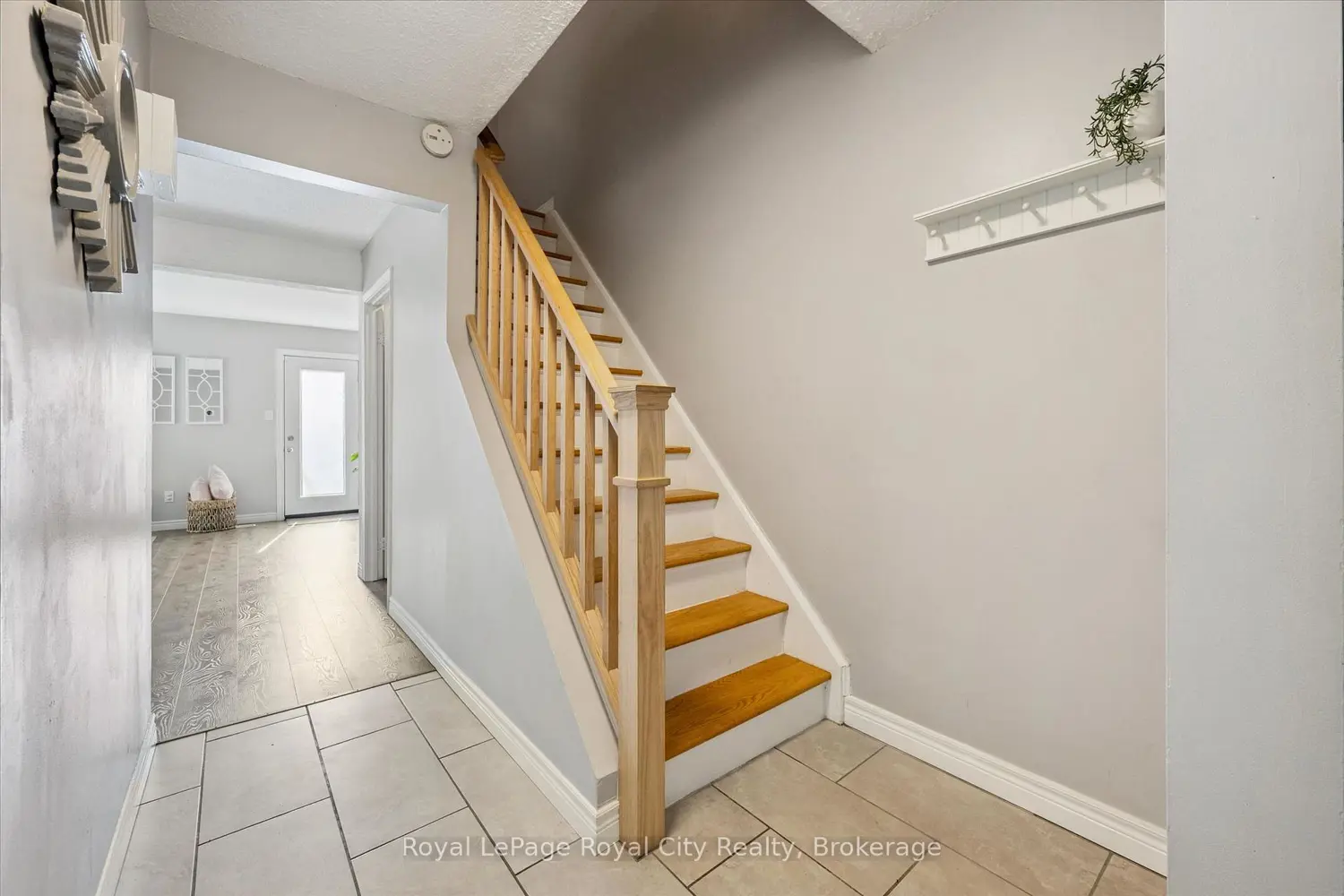 41 Rhonda Road 23 photo 4