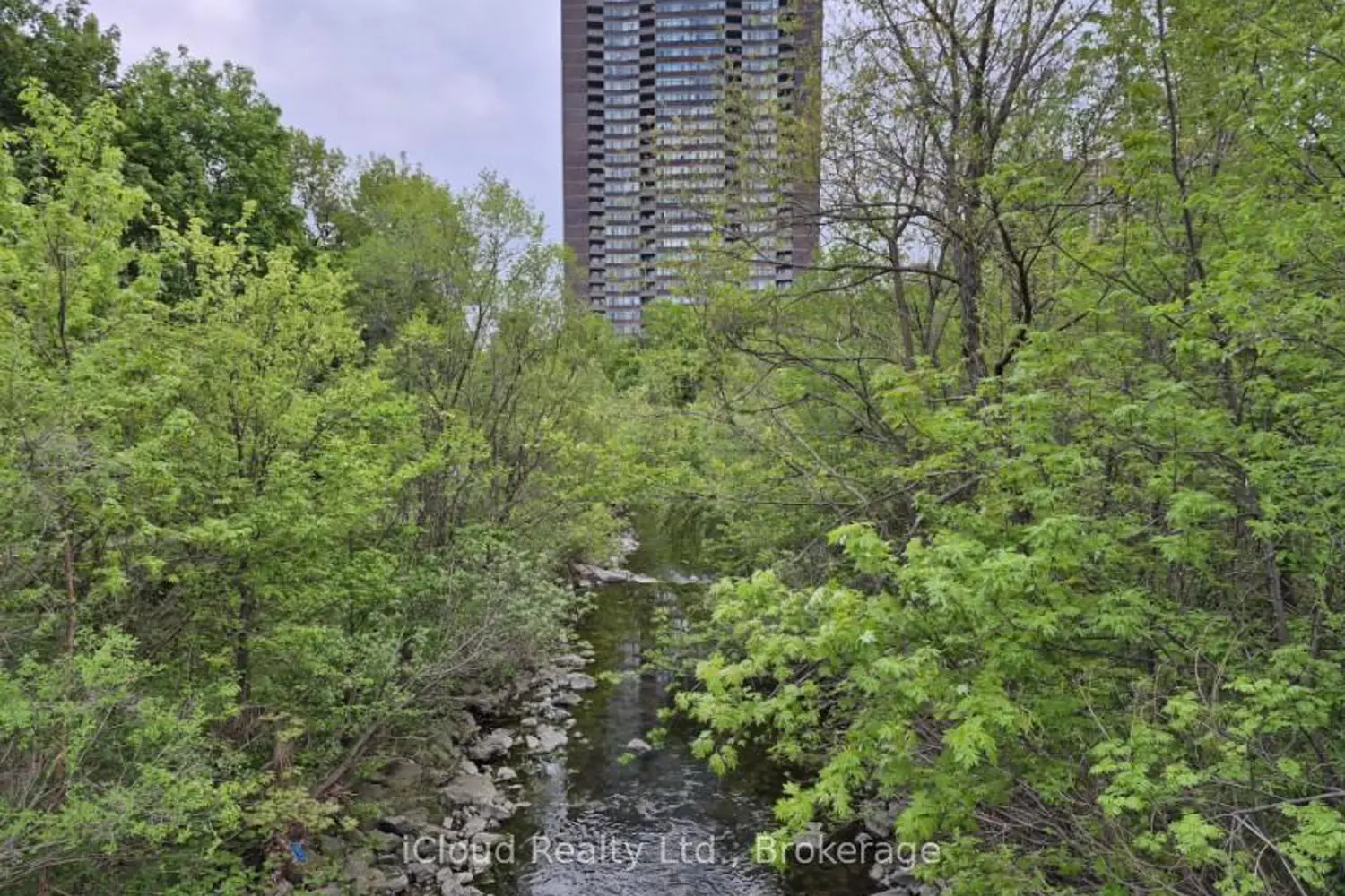 3100 Kirwin Avenue 306 photo 5