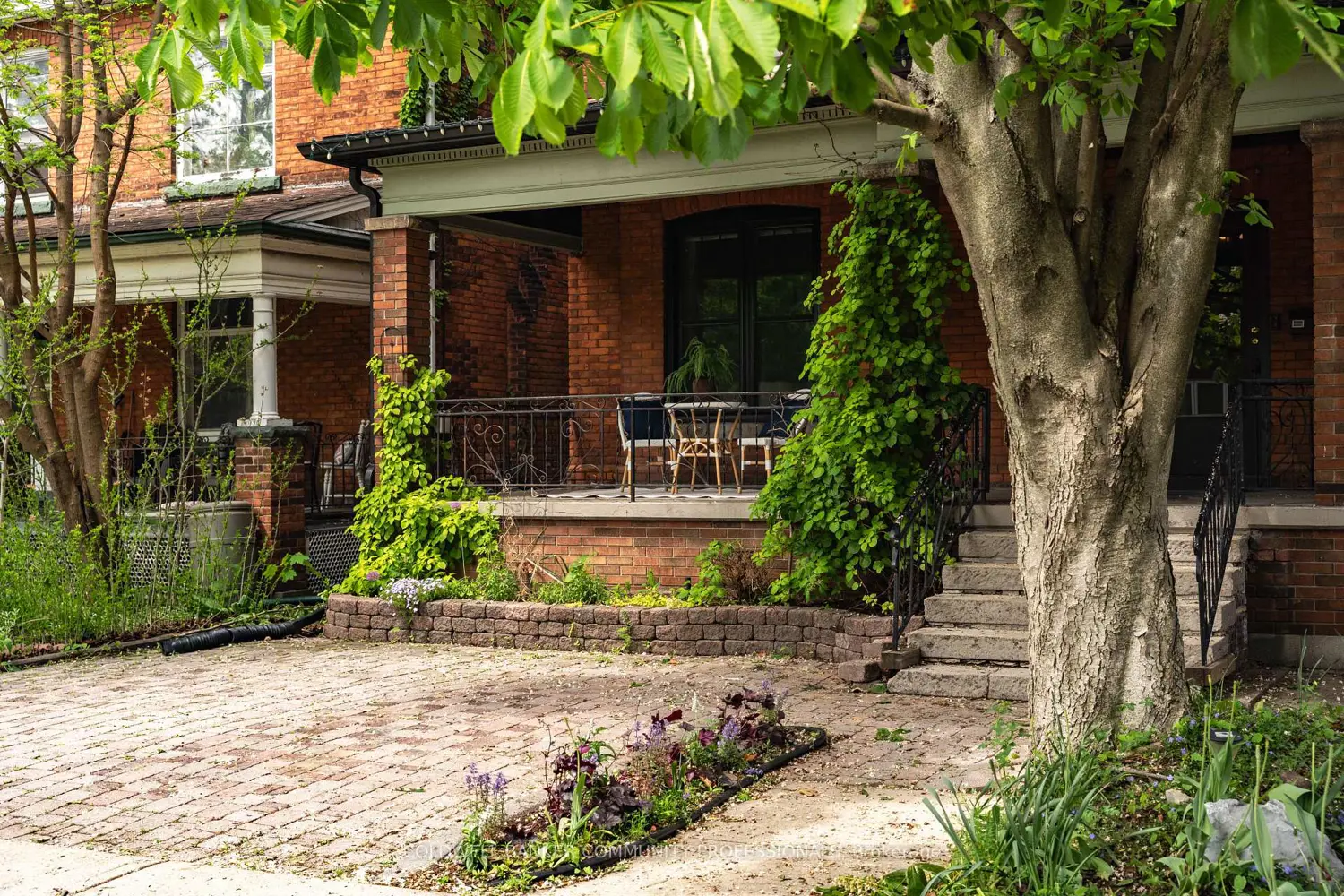 44 St Clair Avenue photo 4