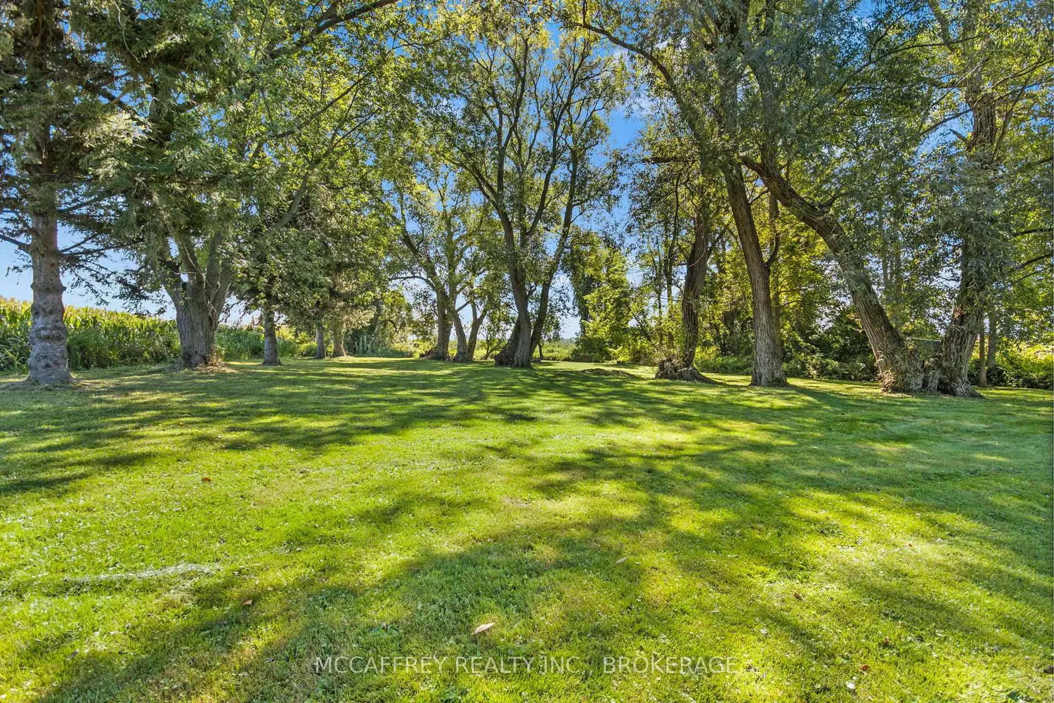 Additional image 11 of 1280 Galt Street