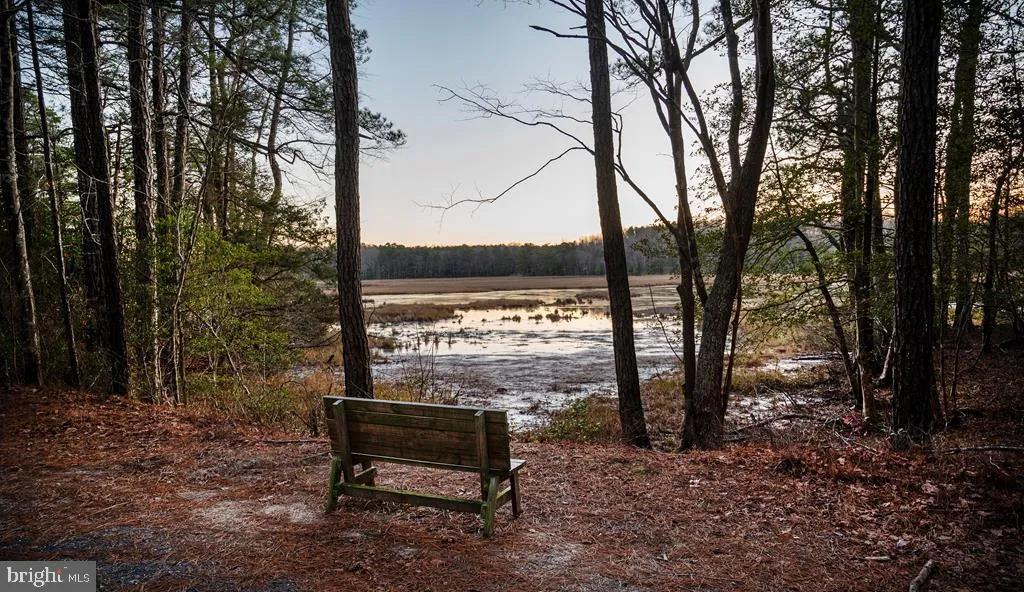Additional image 44 of Lot 2057 Neptune Court, Greenbackville, VA 23356