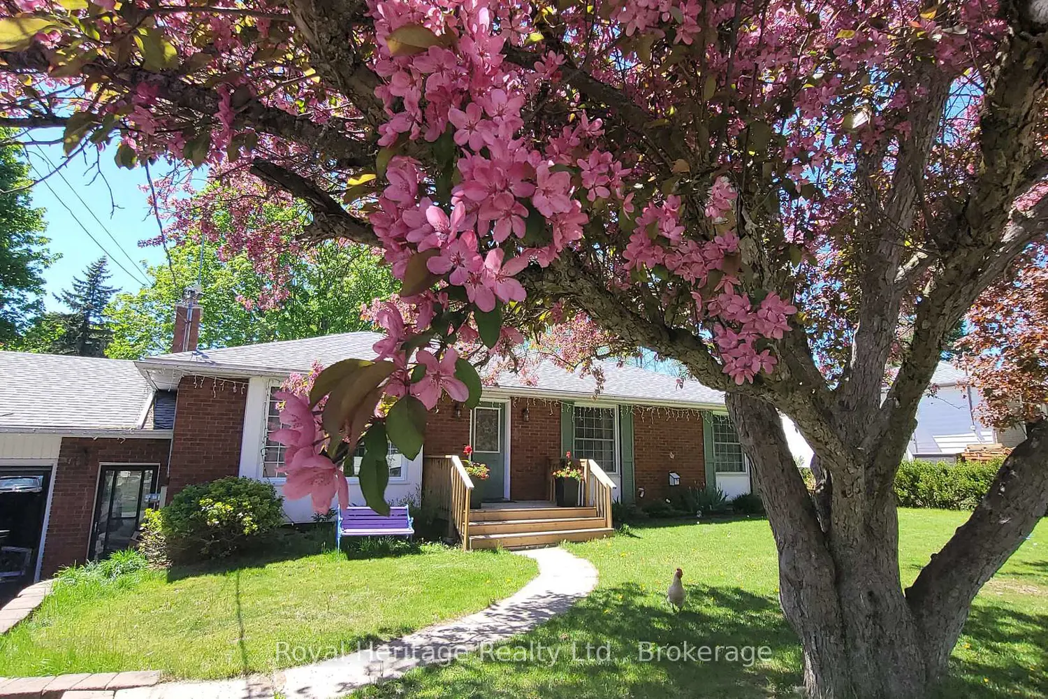115 Chatterton Valley Crescent photo 2