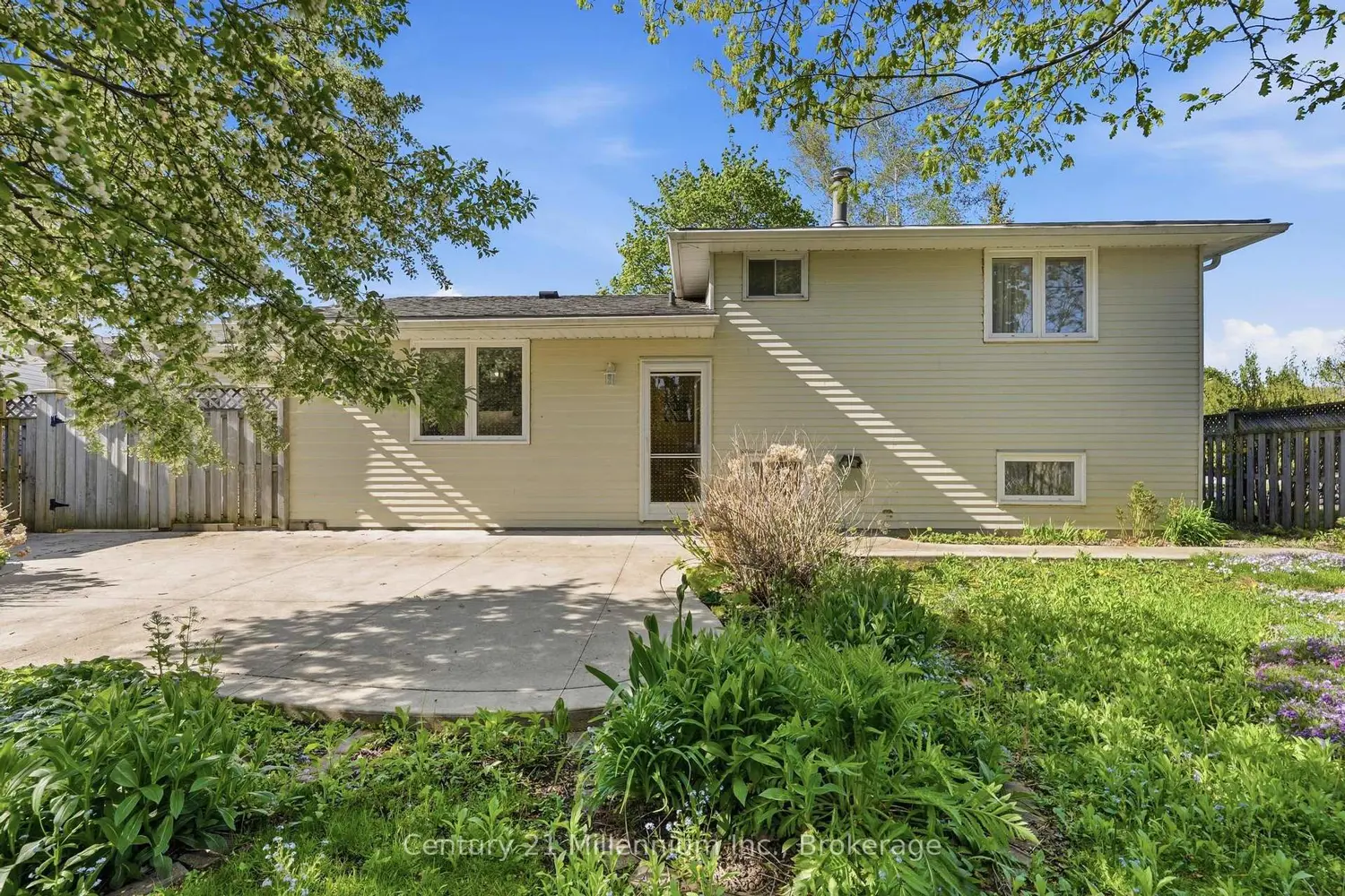 553 Scott Street photo 4