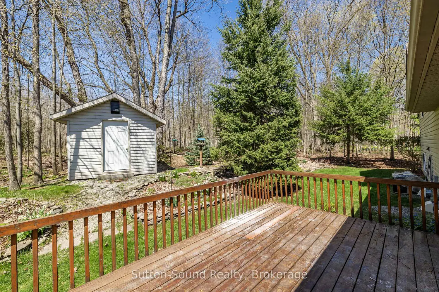 126 Alexandria Street photo 5