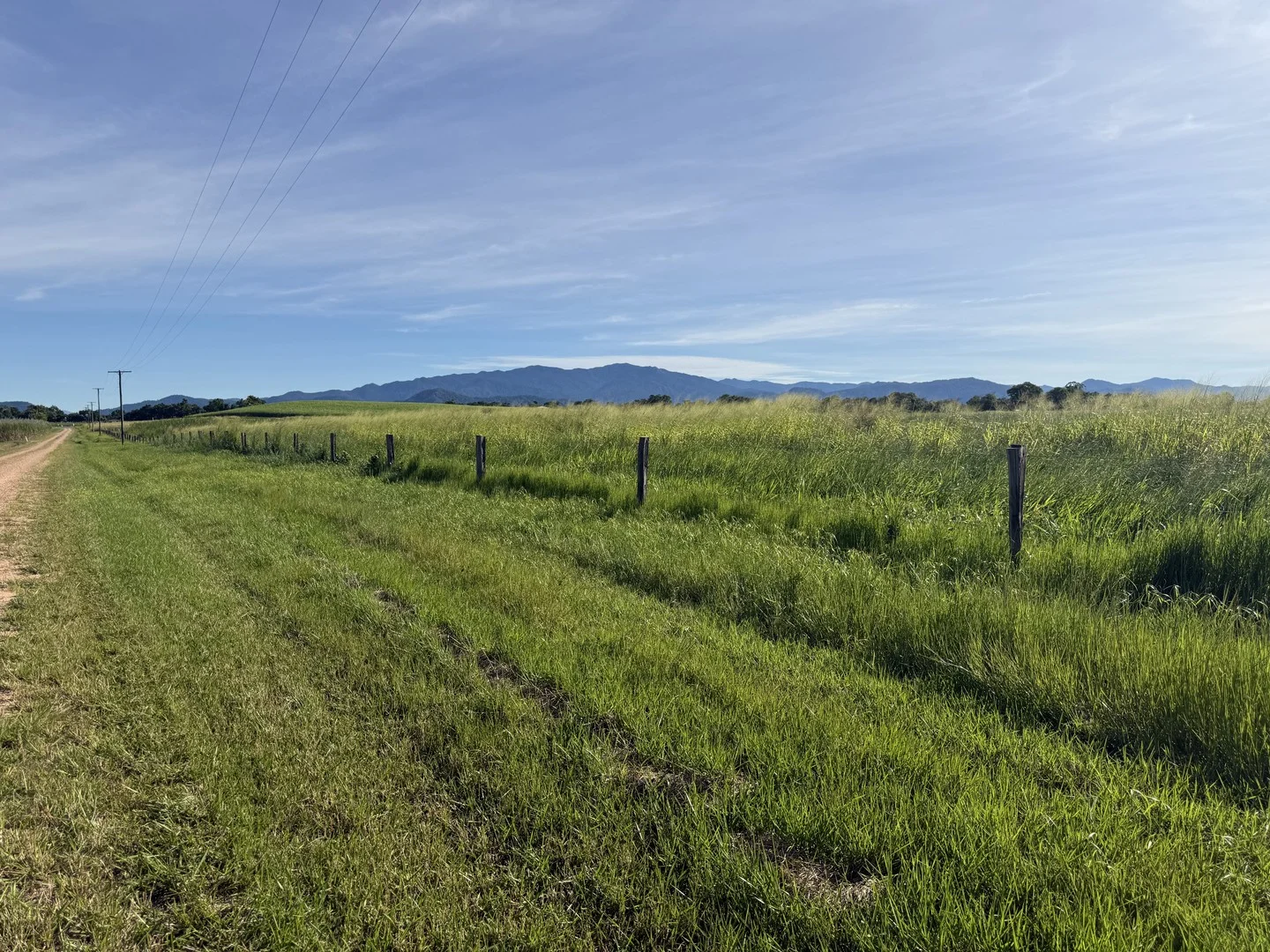 Silkwood QLD 4856
