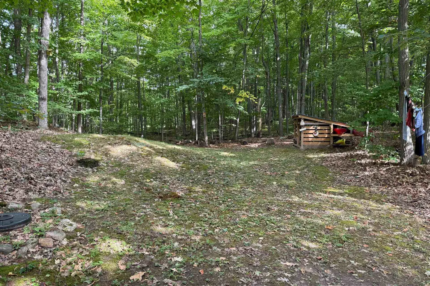 Additional image 17 of 342 North Shore Road