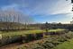 Badgers Hill Close, Maulden, MK45 2UG photo 3