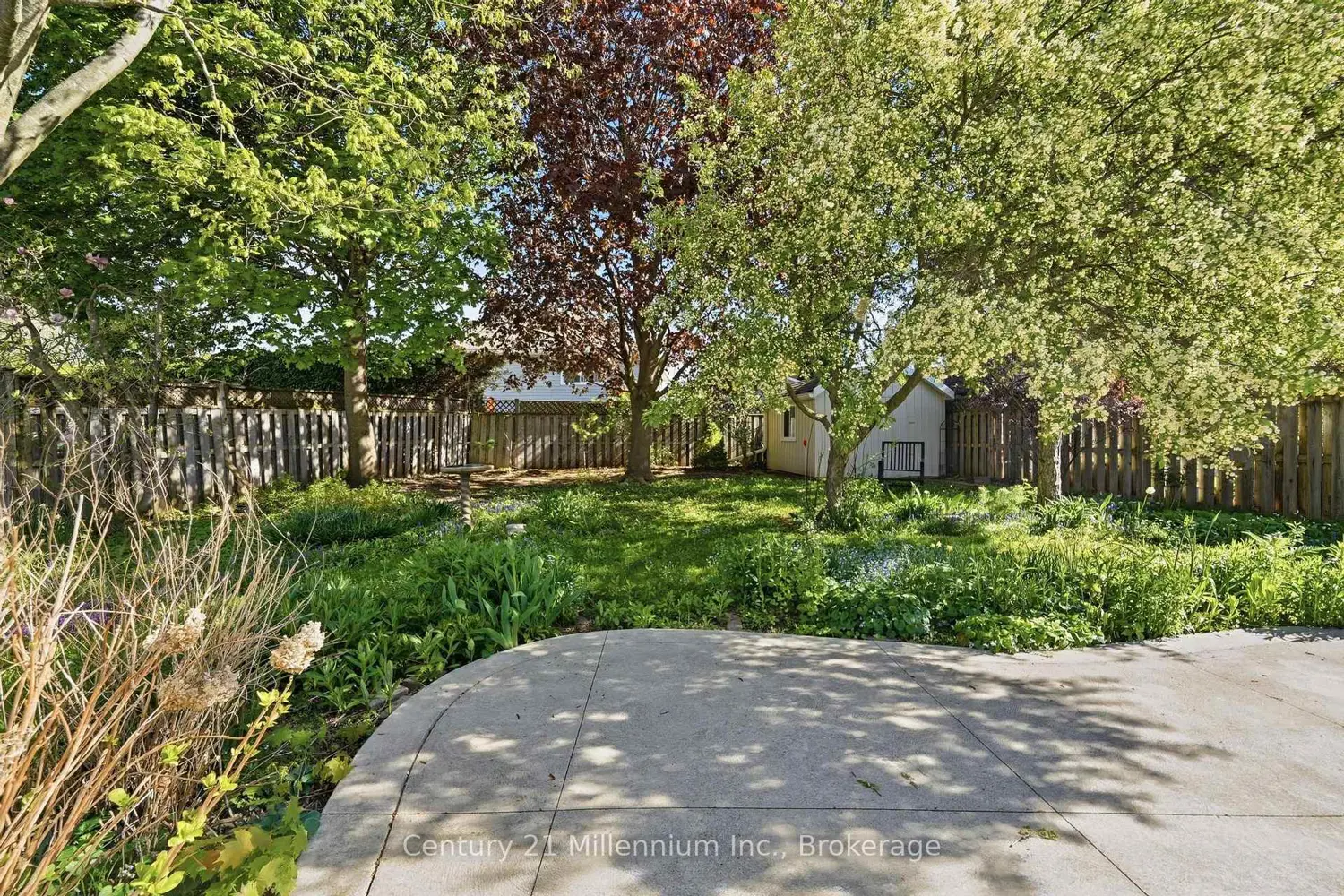 553 Scott Street photo 5