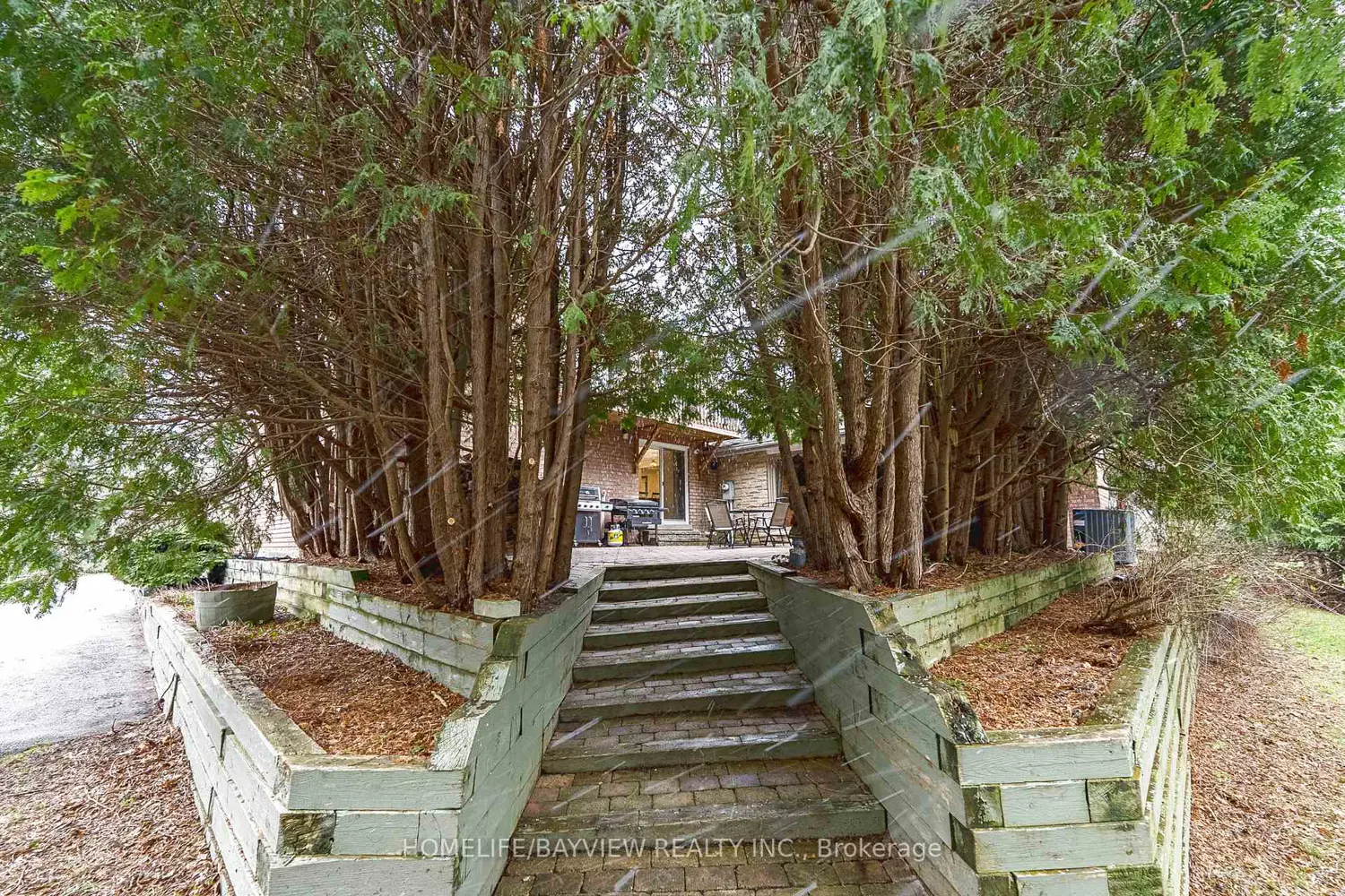 Additional image 19 of 25 Whispering Pine Trail