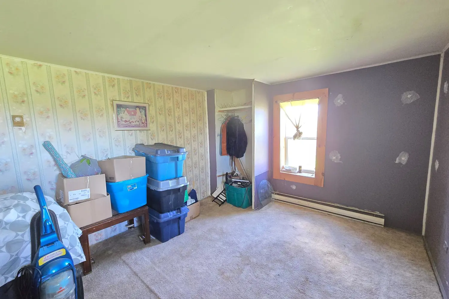 Additional image 13 of 3161 Blessington Road