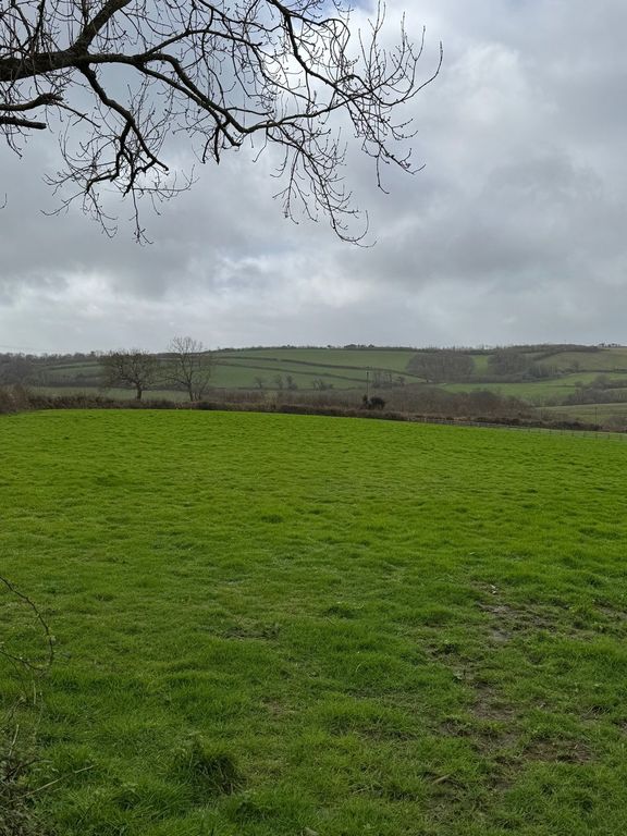 Land for saleLand At Hembal Lane, Trewoon, St. Austell PL25