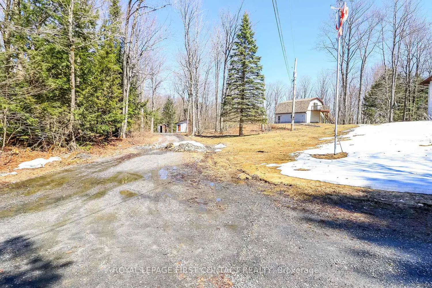 1518 Lone Pine Drive photo 3
