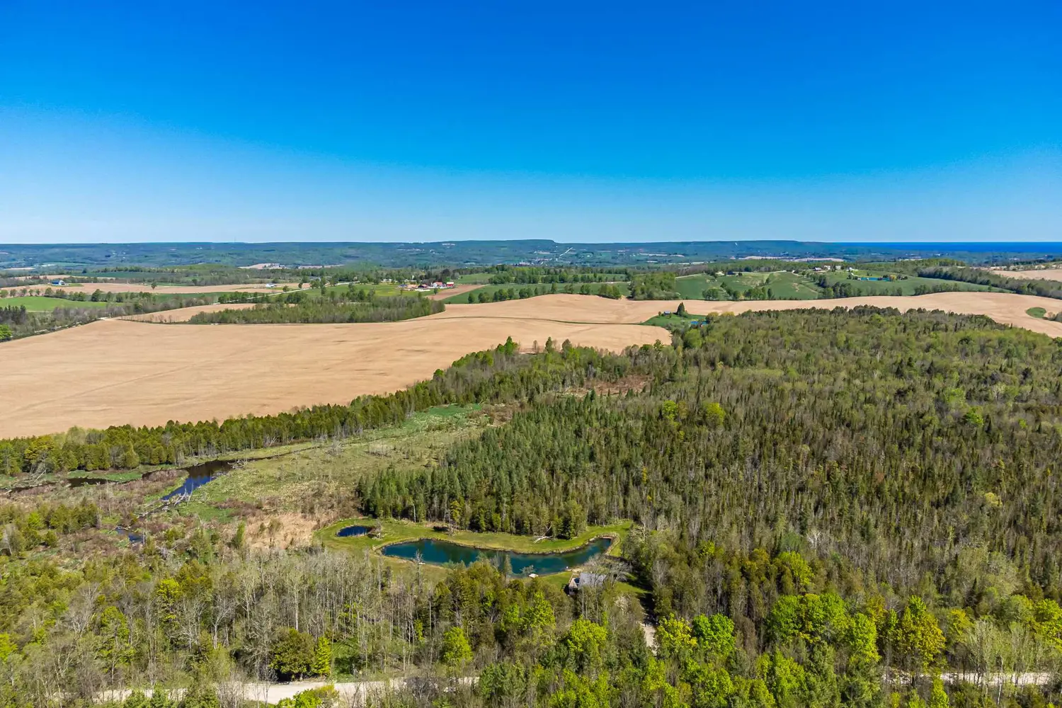 Additional image 15 of 025359 Euph-St Vincent Townline