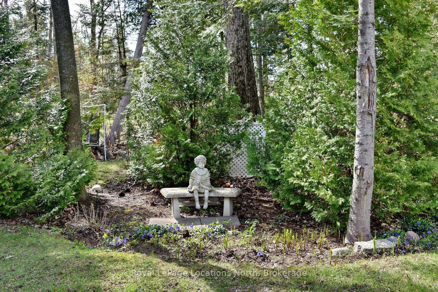 Additional image 17 of 155 Lily Drive